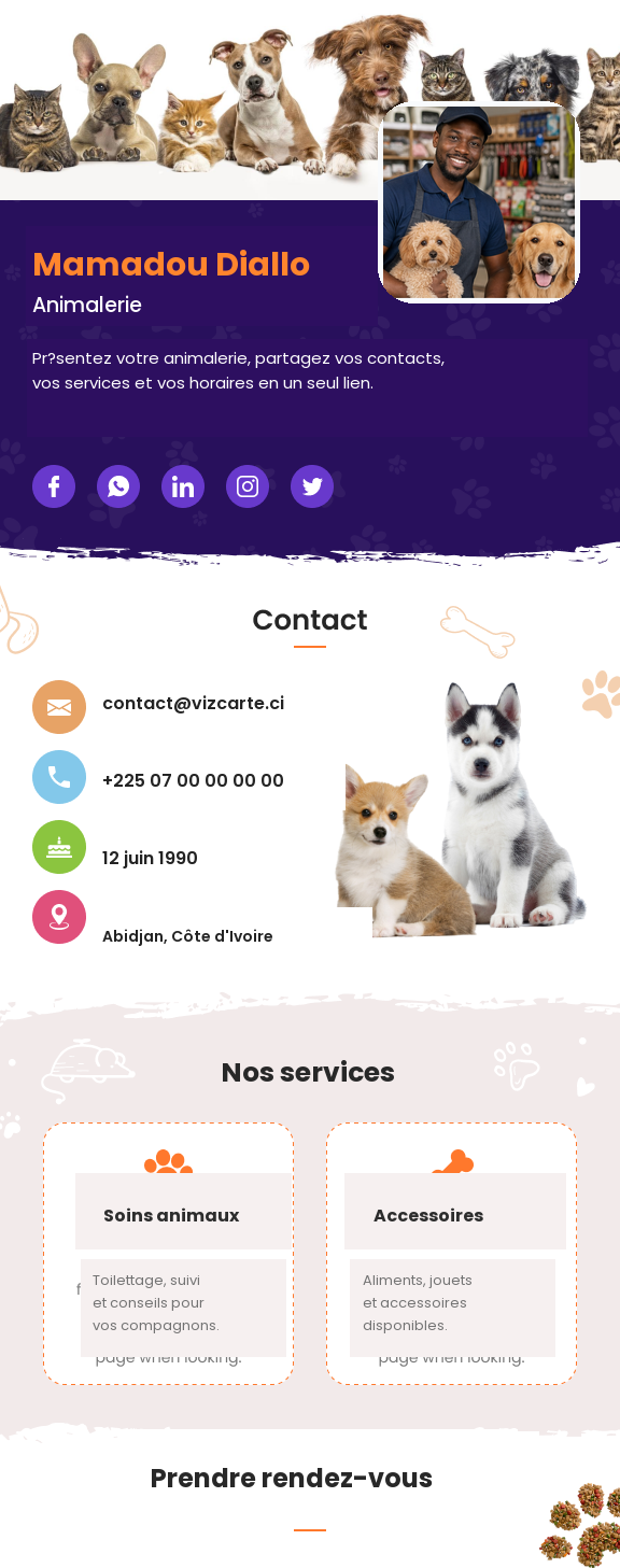 Modèle de carte VIZCARTE 27